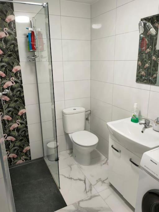 Apartament Flamingo Z Basenem トレビエハ エクステリア 写真